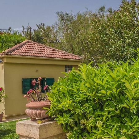 Sylvia'S Guest House Kavrokhorion Экстерьер фото