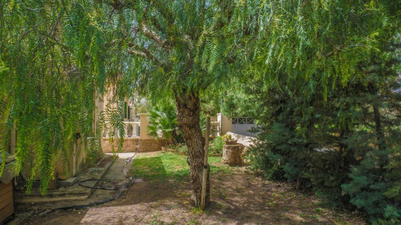 Sylvia'S Guest House Kavrokhorion Экстерьер фото